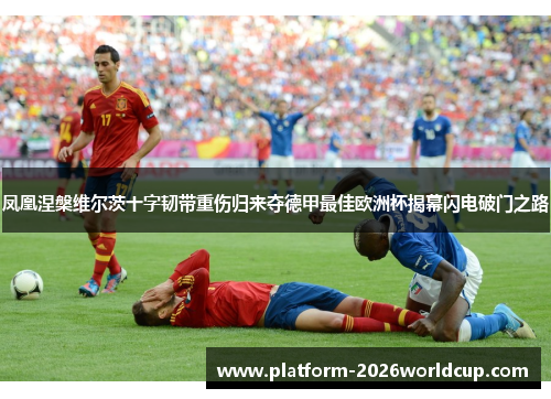 凤凰涅槃维尔茨十字韧带重伤归来夺德甲最佳欧洲杯揭幕闪电破门之路